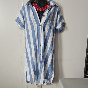 Blue and White Striped Button-Up Dress
